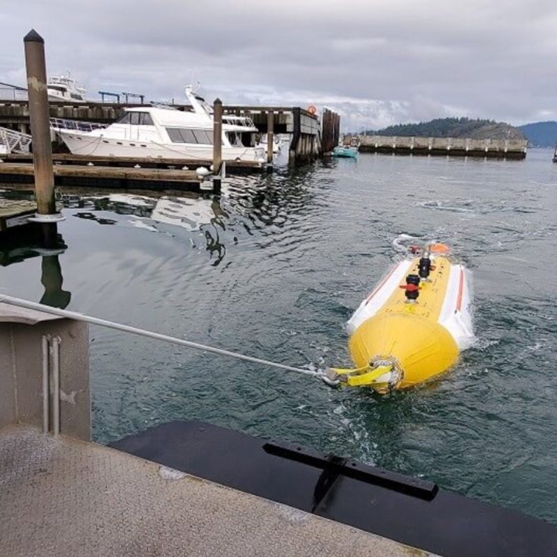 Canflex Towable Bladders, Sea Slug - Image 2